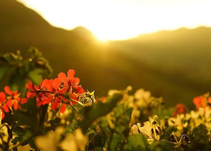 Gasthof Bergschenke Krin * كيرشبرغ ان تيرول